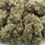 Predator Pink - AAA - Indica - Image 3