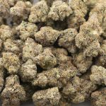 Project 4516 Craft - Indica - Image 3