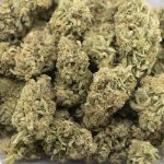 Wholesale - Rene Mist - AAAA