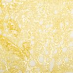 Shatter - Blackberry Cobbler - Indica - Image 2