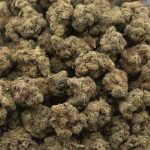 Wholesale - Snow White - AA