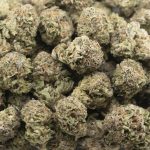 Wholesale - Super Nuken - AAA