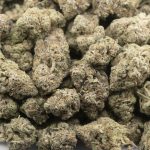 Tar Monster AAAA - Indica - Image 3