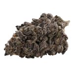 Purple Nuken Craft - Indica