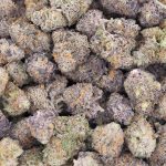 Purple Gushers Craft - Hybrid - Image 3