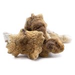 Wholesale Shrooms - Malabar - Image 2