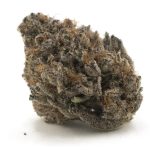 White Biscotti AAAA - Indica