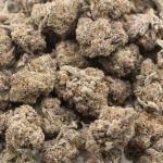 White Biscotti AAAA - Indica - Image 3