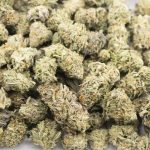 Animal Cookies AAA - Indica - Image 3