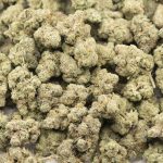 Island Punch AAAA - Indica - Image 3