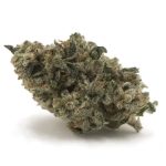 Wholesale - Moby Dick AAA - Image 3