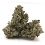 Wholesale - Moby Dick AAA - Image 2