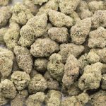 White Domina AAAA - Indica - Image 3