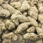 Wholesale - Apple Fritter - AAAA