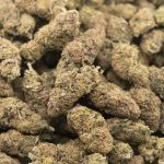 Wholesale - Obama Kush - AA