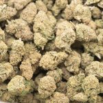 Strawberry Cough AA - Sativa - Image 3