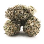 Gello Gelato AAA - Hybrid - Image 2