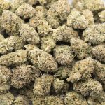 Gello Gelato AAA - Hybrid - Image 3