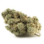 Cake Boss AAA - Indica