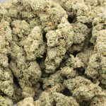 Cake Boss AAA - Indica - Image 3