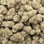 Frost Donkey - AAAA - Image 3