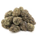 Gas Garden - Tuna Can - Frosted Gelato (7 Grams) - Image 2