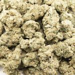 Panda Cookies AAA - Indica - Image 3