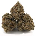 Pennywise AA - Indica - Image 2