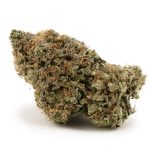 Pineapple Mimosa Craft - Sativa