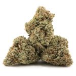 Pineapple Mimosa Craft - Sativa - Image 2