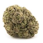 Chocolate Haze A - Sativa