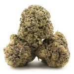 Chocolate Haze A - Sativa - Image 2