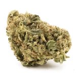 Jackalope AAA - Sativa