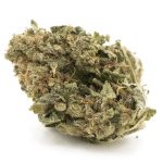 Northern Wreck AA - Indica