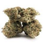 Northern Wreck AA - Indica - Image 2