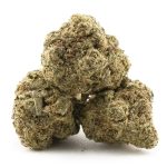 Strawberry Daiquiri A - Sativa - Image 2