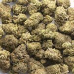 Banana Sundae AAAA - Sativa - Image 3