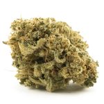 Lemon Cheese AAAA - Sativa
