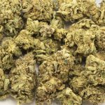 Lemon Cheese AAAA - Sativa - Image 3