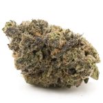 Purple Cough AAAA - Hybrid