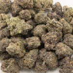 Purple Cough AAAA - Hybrid - Image 3