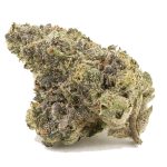 Black Scotti AAA - Indica