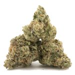 Black Scotti AAA - Indica - Image 2