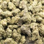 Black Scotti AAA - Indica - Image 3