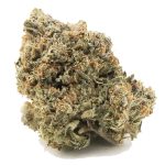 Bubba Glue AAAA - Indica