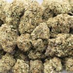 Bubba Glue AAAA - Indica - Image 3