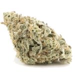 Ice Cream Man AAA - Indica