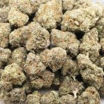 Wholesale - Jungle Apples - AAA