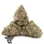 Gorilla Quake AAA - Hybrid - Image 2