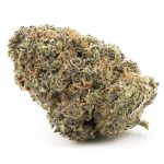 Wholesale - Jungle Apples - AAA - Image 3